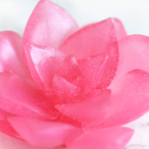 Pink Smitten Scented Lotus Soap by Tailored Soap