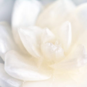 Grass Stain Scented White Lotus Soap by Tailored Soap