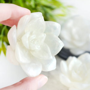 Grass Stain Scented White Lotus Soap by Tailored Soap