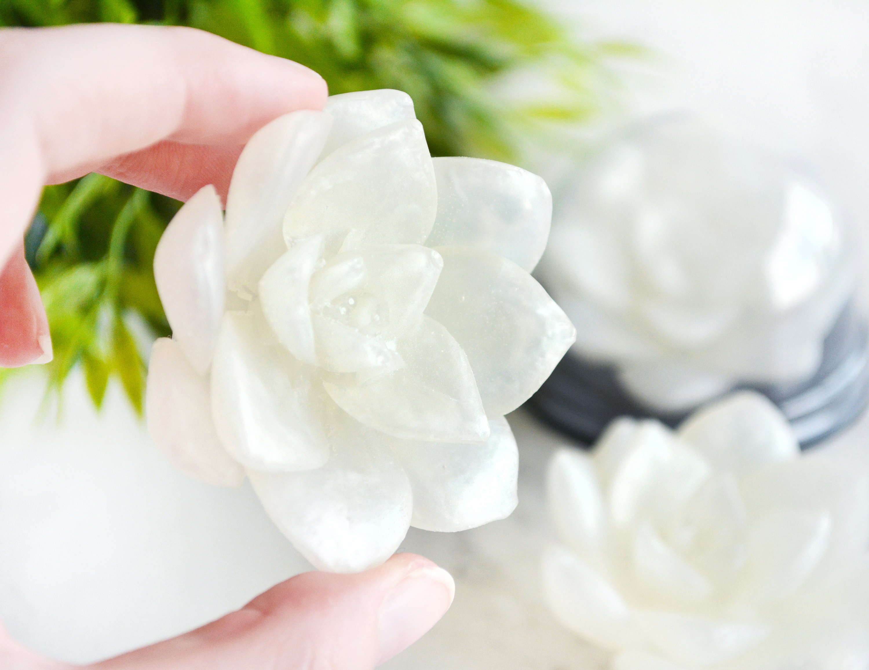 Grass Stain Scented White Lotus Soap by Tailored Soap Grass Stain Scented White Lotus Soap by Tailored Soap